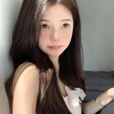 凤皇传
